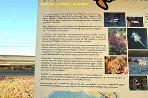 33 SANTA POLA LES SALINES (36)